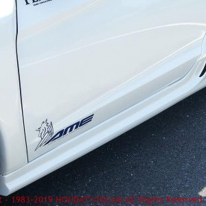 ZF1 : サイドステップFRP